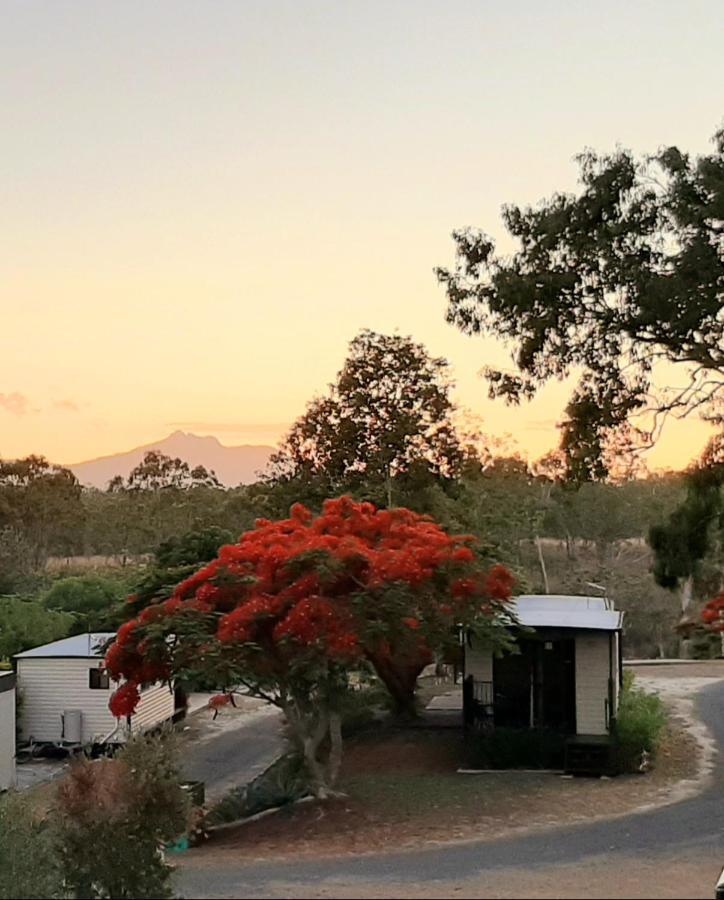 Готель Mt Larcom Tourist Park Mount Larcom Екстер'єр фото